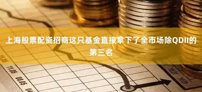 上海股票配资招商这只基金直接拿下了全市场除QDII的第三名